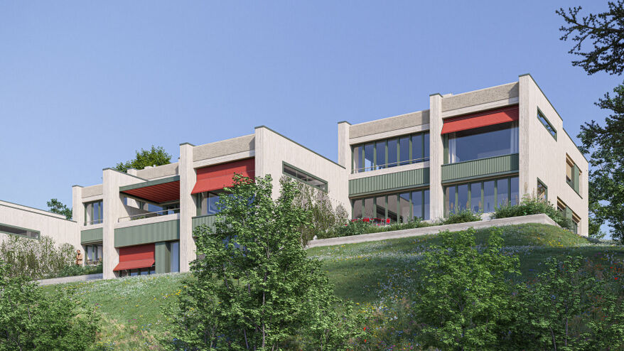<font color=white><b> KAUFEN </b><br> Neubauprojekt TG</font>