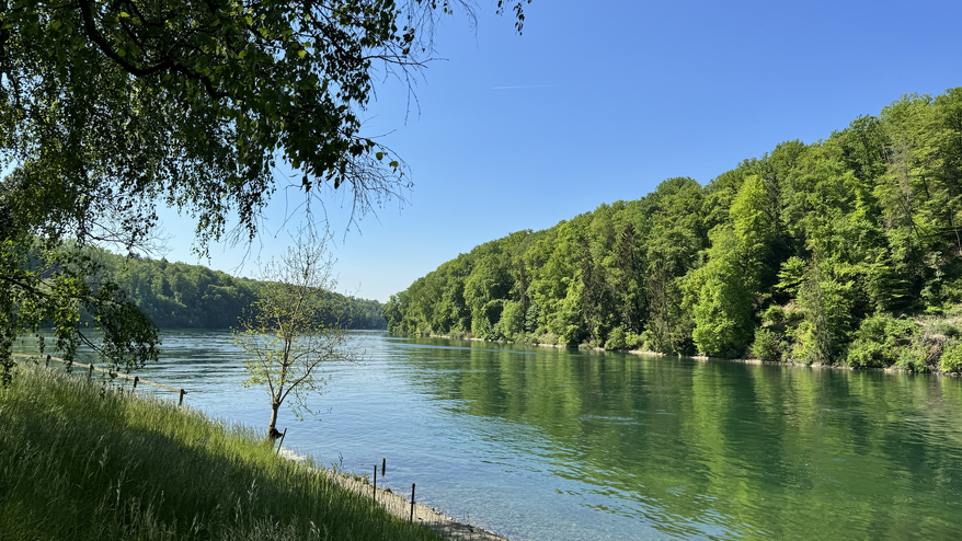Land/ Rheinanstoss Zürich