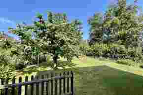 img 5084 2.jpeg